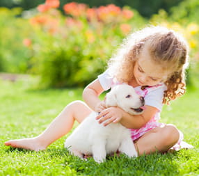 young girl embracing a puppy on a fresh cut green lawn